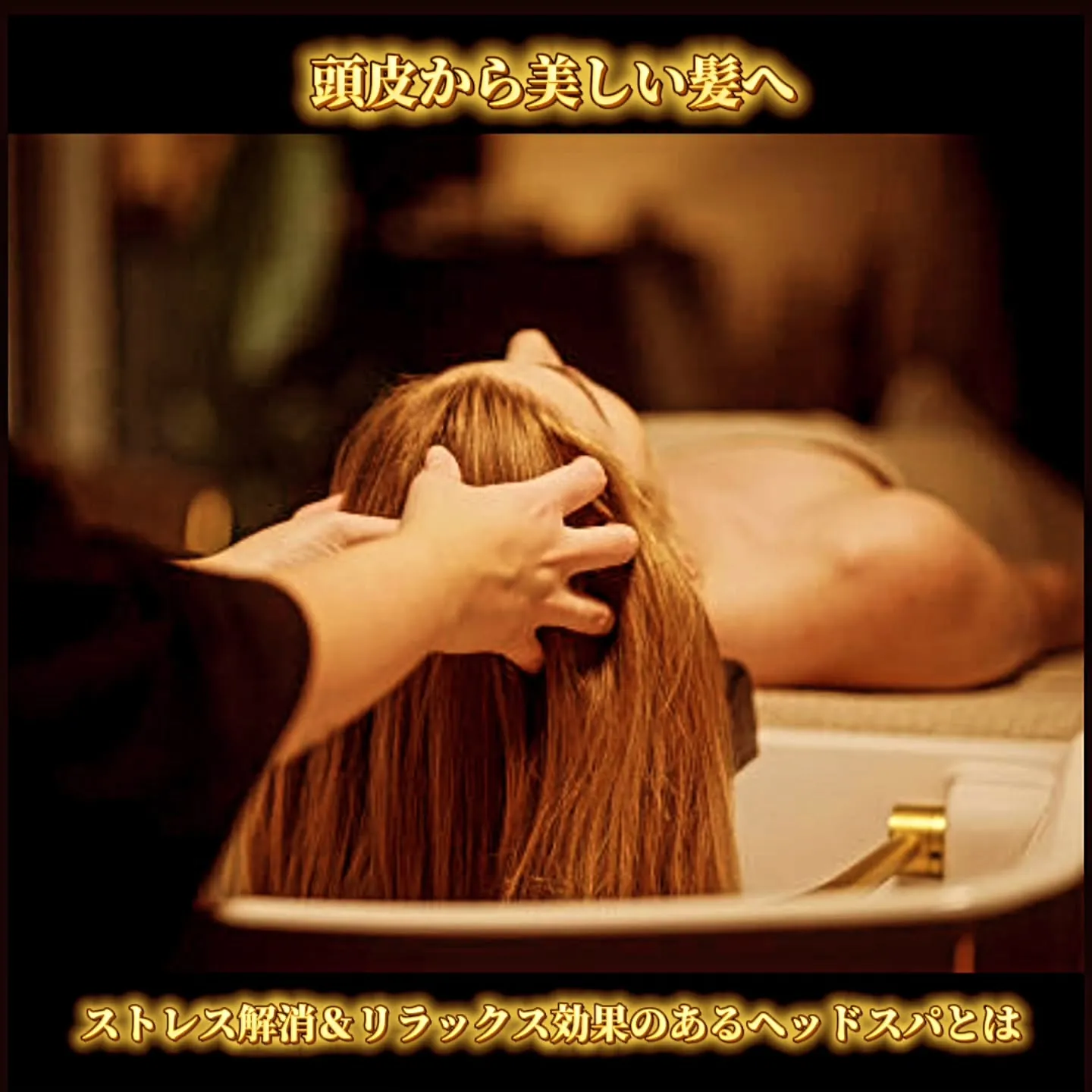 頭皮から美しい髪へ。